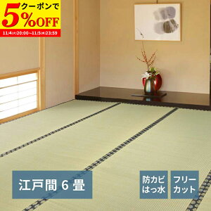 yN[|5%OFF11/4 20:00`11/5 23:59z Ő؂  ~ ݂ ]ˊ 6 6 t[Jbg ͂ hJr L \ ̕ی