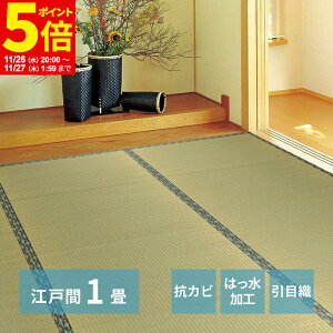 y|Cg5{11/26 20:00`11/27 1:59z O J[ybg O ]ˊ 1 87×174cm O ݏ~  ~ Jo[ SU  n