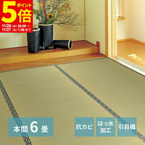 y|Cg5{11/26 20:00`11/27 1:59z O J[ybg O { 6 286×382cm O ݏ~  ~ Jo[ SU  n