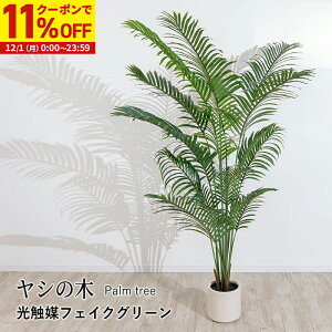 y11%OFFN[|zz12/1Ɏgz V̖ tFCNO[ G}tFCNO[ ϗtA  lHϗtA A sv ͂Ȃ { G} ^  i