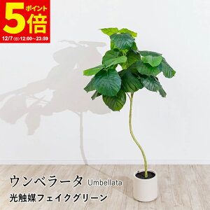 y|Cg5{12/7 12:00`23:59z Ex[^ tFCNO[ G}tFCNO[ ϗtA  lHϗtA A sv ͂Ȃ { G} ^  i`