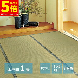 y|Cg5{12/7 12:00`23:59z O J[ybg O ]ˊ 1 87×174cm O ݏ~  ~ Jo[ SU  n