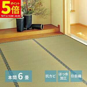 y|Cg5{12/7 12:00`23:59z O J[ybg O { 6 286×382cm O ݏ~  ~ Jo[ SU  n