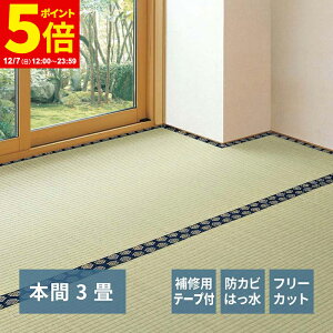 y|Cg5{12/7 12:00`23:59z Ce[vt Ő؂  ~ ݂ { 3 3 t[Jbg ͂ hJr L \ ̕ی