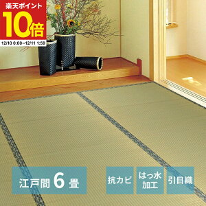 y|Cg10{12/10 0:00`12/11 1:59z O J[ybg O ]ˊ 6 261×352cm O ݏ~  ~ Jo[ SU  n