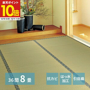 y|Cg10{12/10 0:00`12/11 1:59z O J[ybg O 36  8 364×364cm O ݏ~  ~ Jo[ SU  n