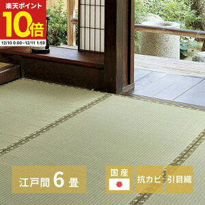 y|Cg10{12/10 0:00`12/11 1:59z YJ[ybg ]ˊ 6 261×352cm O ݏ~  ~ Jo[ SU  