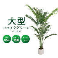 ヤシの木 フェイクグリーン 光触媒フェイクグリーン 観葉植物 造花 人工観葉植物 リアル 水やり不要 枯れ…