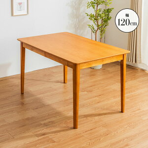 y11%OFFN[|zz10/1Ɏgz _CjOe[u Pi 75cm 120cm