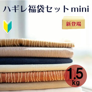 y͂ꕟ |1.5kgzȂ͂Zbg 1.5kg vŌn IVȑ唻nM  nhCh zeEXgEɑI΂Ăe[uNX[J[ n z 