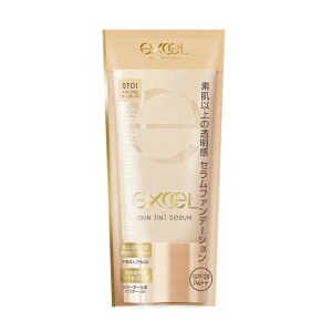 excel(�G�N�Z��)�X�L���e�B���g�Z����ST01(�i�`�������I�[�N��10)�t�@���f�[�V����