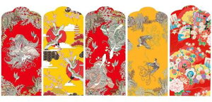 A-Focus Nʑ jV |` 10Zbg 17.5X9CM 1000~1~܂łD܂Ȃē xmRmoߓ5ނ̃fUC LTCY D|` 10