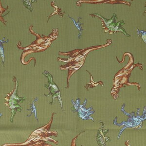 KIYOHARA n j̎q IbNX _Ci\[p[N 110cm×1mJbg O[ wEObY3_̃Vst MOW152-1M