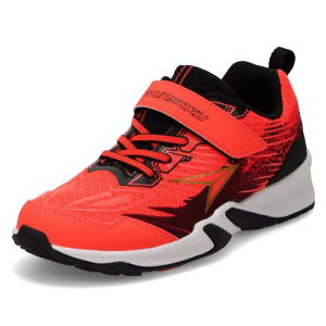 [V\N] Xj[J[ LbY j̎q qC y 16~25cm 2.5E SJJ 2080 lIbh 19.5 cm