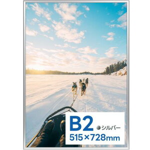 PR[(Kenko) |X^[pA~z NEW p`bg|X^[t[ UVJbgvX B2 Vo[ tgI[v { NAPT-B2-SV