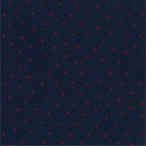 (KIYOHARA) kokochi fabric \tgu[h n hbgvgS 110cm 2mȏ1mPʃJbg Col.NVR lCr[bh KOF-31