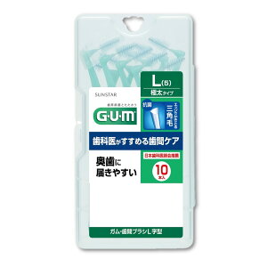 GUM(K) ԃuV L^ ̎ԃPA C[^Cv [TCY:L (5)] 10{ Pi