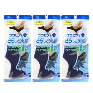 [IJg] EȂ RRs^ Y Ǝ L bV z [t@[p 3g/6g tbgJo[ 480-510