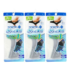 [IJg] EȂ RRs^ Y Ǝ L bV z [t@[p 3g/6g tbgJo[ 480-510