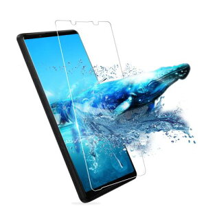 MINIKA Xperia 10 V KXtB Sʋz SO-52D ی KX GNXyA10V tB SOG11 KX Xperia 10 V tB 10V یtB GNXyA10V KX \tȒP/wh