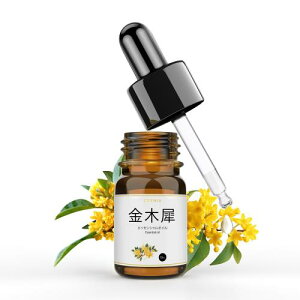 Ceeniu GbZVIC ؍ DIY A}IC L SGSF VR100% pEԗpEA}Xg[EEA}fBt[U[ v~AA} v[gɍœK 10ml×1