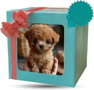 Sediven 2025VŃ{bg  @\ x錢 \tgf ̐^  G ₵ ^{bg j̎q ̎q a NX}Xv[giuEj