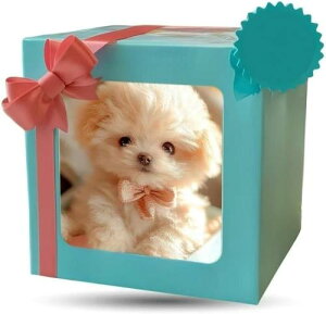 Sediven 2025VŃ{bg  @\ x錢 \tgf ̐^  G ₵ ^{bg j̎q ̎q a NX}Xv[gizCgj