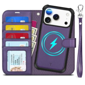 TUCCH iPhone 17 Pro Ή P[X 蒠^ 2 in 1  6.3C` Xgbvt O RFIDubLO 4J[h|Pbg uX^h@\ Ռz Sʕی PU ӂ17v 