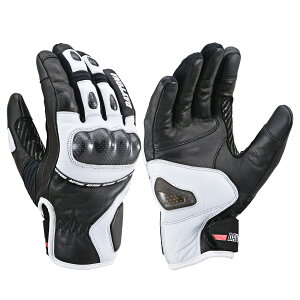 fCgi(Daytona) oCNp O[u H~ {v(Mv) h h J[{veN^[ X}zΉ AWX|[cV[gO[u HBG-058 ubN/zCg XLTCY 22180