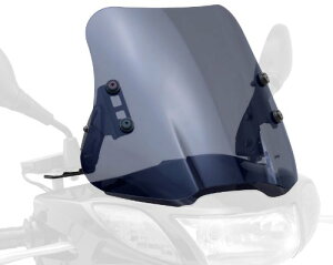 fCgi(Daytona) oCNp XN[ Nvo[t ANVXg[g(09-)p EChV[h SSV[Y V[g X[N 79793