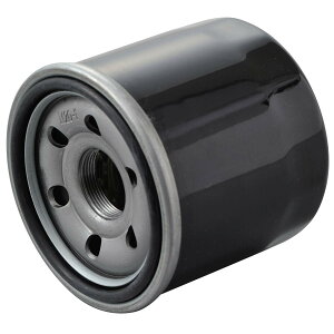 fCgi(Daytona) oCNp vCX ICtB^[ XYLn VXg[250 Ȃ 10 35202 ʂNo:F-11