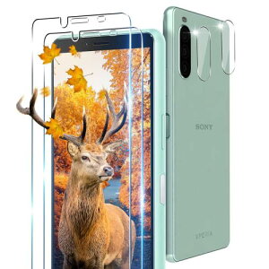 2+2枚セット 用 Xperia 10ii SOV43 SO-41A ガラスフィルム 2枚 Xperia 10ii フィルム + 2枚 カメラ保護フィルムセッ 日本旭硝子製 9H強度 対応 SOV43 SO-41A 強化ガ