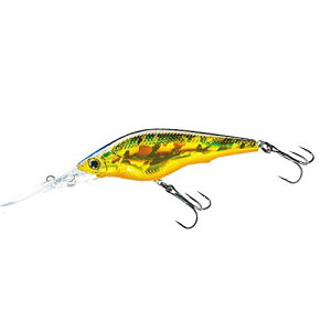 DUEL(fG) HARDCORE(n[hRA) A[ Vbh HARDCORE SHAD 75SF 75mm Weight:11g R1367-HGSN-S[fVCi[