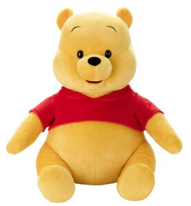 fBYj[ ObhbN ʂ 2L ܂̃v[ 50cm