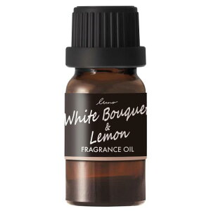 J[Cg(CARMATE) ԗp p ItBXp tOXICm zCgu[P  ̍ ntOXfBt[U[ p F L10056