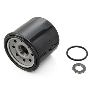 fCgi(Daytona) oCNp ICtB^[ OO hbV[ ZX-12R W650  ICp[tFNgZbg 31023 ʂNo:S-64