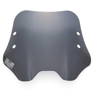 fCgi(Daytona) WNT[150(20-21) WNT[250(20)p XN[ EChV[h SSV[Y V[g X[N Nvo[t 17447