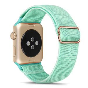 �e���X�|�[�c�\�����[�v �R���p�`�u�� Apple Watch �o���h49mm 46mm 45mm 44mm 42mm�A�i�C�����ґg�X�|�[�c���[�v�A�����p�x���gApple Watch SE2 SE �V���[�Y 10/9/8/7/6/5/4/3/2/1�p (�V�A���u���[)