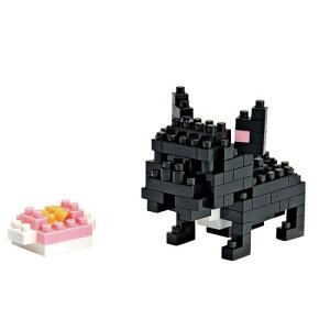 imubN nanoblock RNV t`uhbO NBC-015