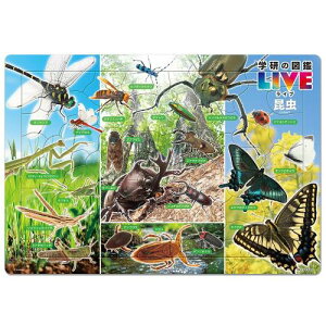 e[(Tenyo) { `ChpY } iw̐}LIVEj 60s[X ǂ Ȋw`Ch MC-60-629 ÂpJo[t 4`7