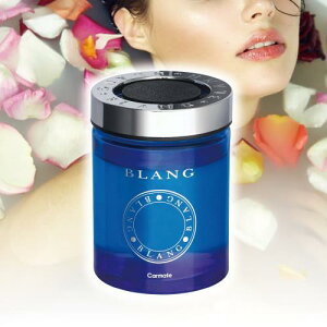 J[Cg ԗp LF BLANG uO Q [W u^ v`iT{ e 160g G1923