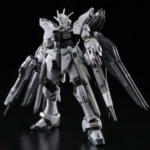 RG 1/144 ZGMF-X20A ストライクフリーダムガンダム ディアクティブモード プラモデル(プレミアムバンダイ)