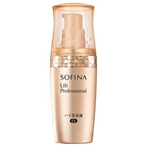 \tB[i tgvtFbVi net EX 40g ԉ\tB[i [sAi]