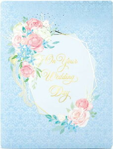 TI(SANRIO) 񂹏F j bZ[WJ[h  EFfBOP[L YG17-1 P91017 W