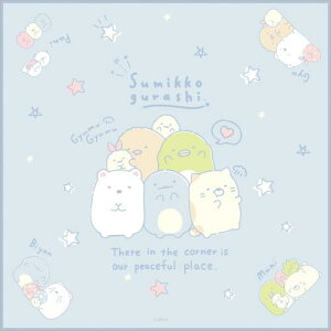 TGbNX ݂R炵`itL CH44104