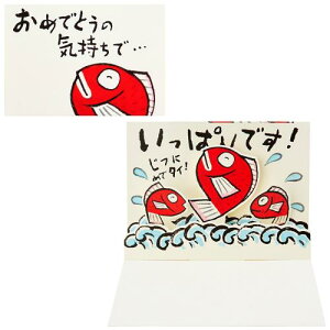 TI bZ[WJ[h j ^C O[eBOJ[h COA CR176-3 SANRIO 981001