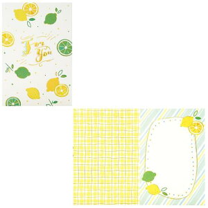 TI bZ[WJ[h  O[eBOJ[h COA MU213-3 SANRIO 607631