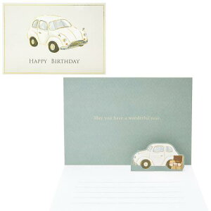 TI o[Xf[J[h  O[eBOJ[h COA BD193-3 SANRIO 982342