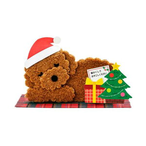 TI(SANRIO) NX}XJ[h gCv[h bZ[WJ[h O[eBOJ[h JX 82-4 435961