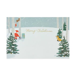 TI(SANRIO) NX}XJ[h |XgJ[h ̗тɃT^Ɠ bZ[WJ[h O[eBOJ[h JX 10-4 107964